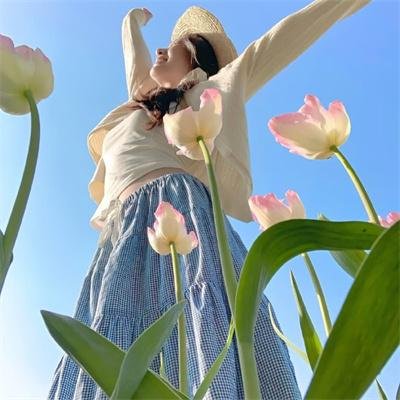 安乐传海报