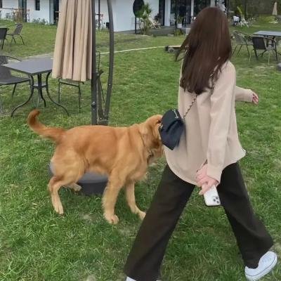 小可爱娜斯佳第二季海报